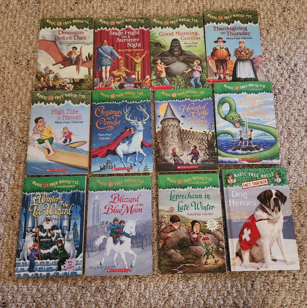 Set of 12 Magic Tree House Books
